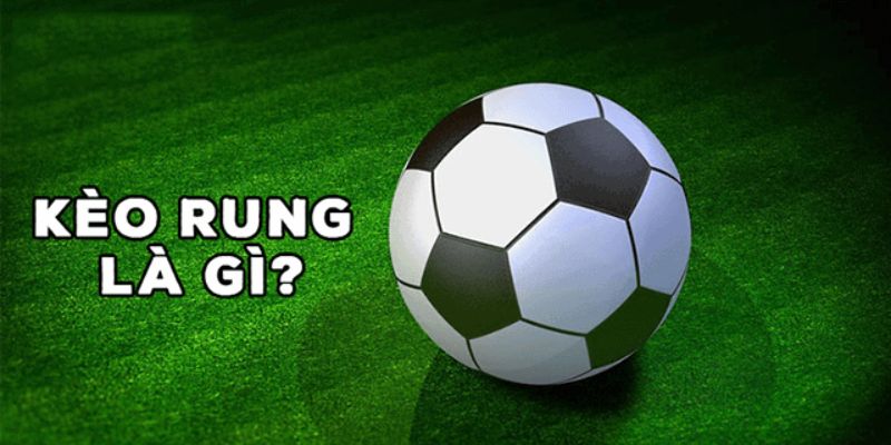                                Một số hình ảnh về Kèo rung tại 789BET